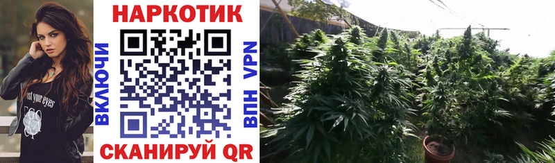 Купить закладку КОКАИН  Амфетамин  Alpha-PVP  Псилоцибиновые грибы  Меф  Гашиш  Курганинск