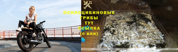 эйфоретик Новокубанск