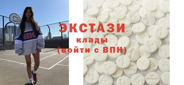 прущие грибы Новозыбков