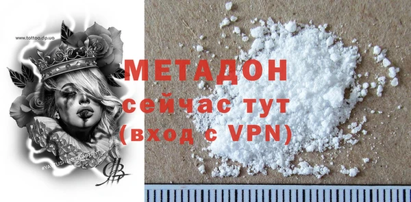 прущие грибы Новозыбков