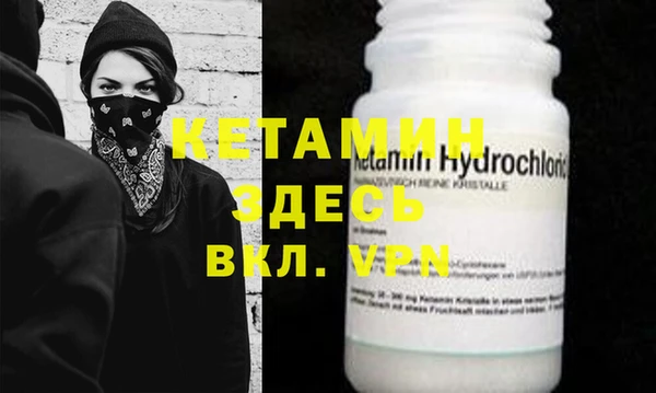 прущие грибы Новозыбков