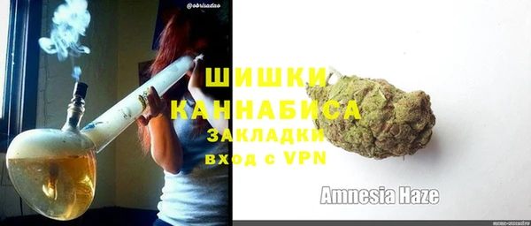 прущие грибы Новозыбков
