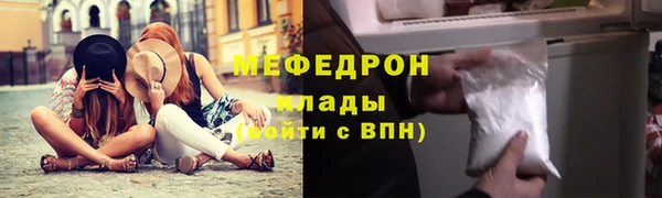 прущие грибы Новозыбков