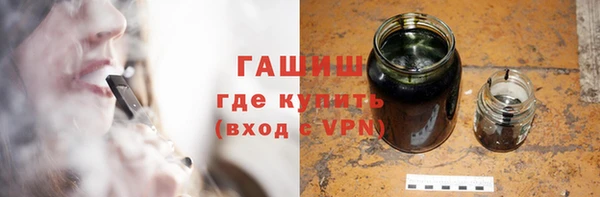 прущие грибы Новозыбков