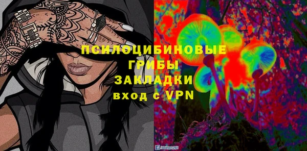 эйфоретик Новокубанск