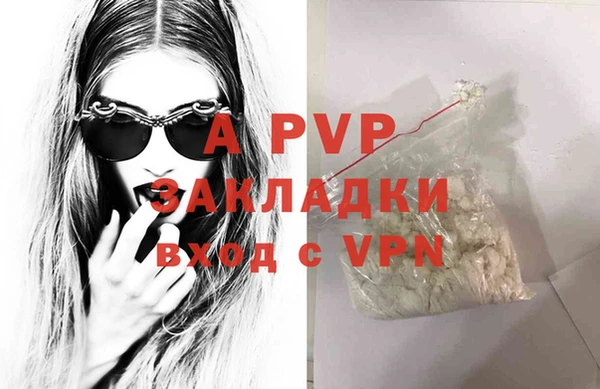 прущие грибы Новозыбков