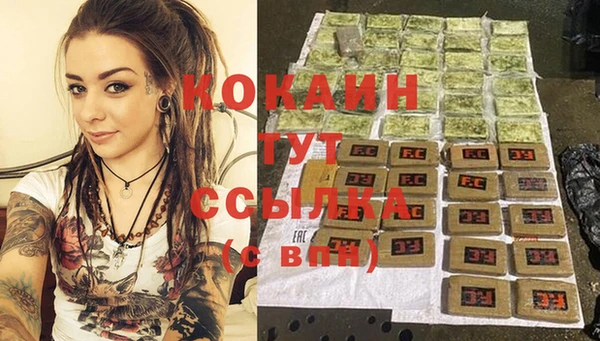 прущие грибы Новозыбков