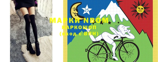 прущие грибы Новозыбков