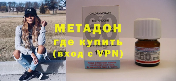 прущие грибы Новозыбков