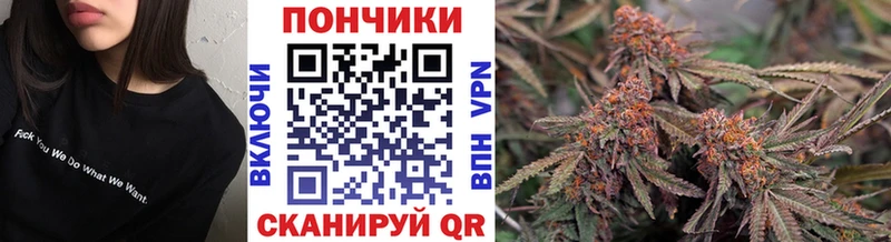 Бошки Шишки конопля  Купить где  Курганинск 